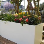 fiori 04