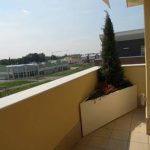 pezzispeciali7-380x285-57